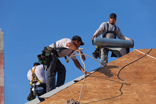 Best Emergency Roof Repair  in Martinsville, VA